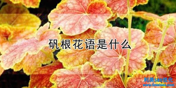 礬根的花語